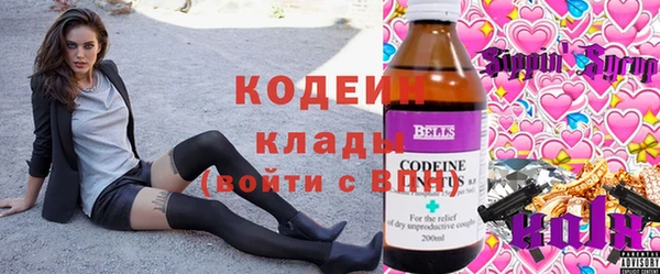 прущие грибы Снежногорск